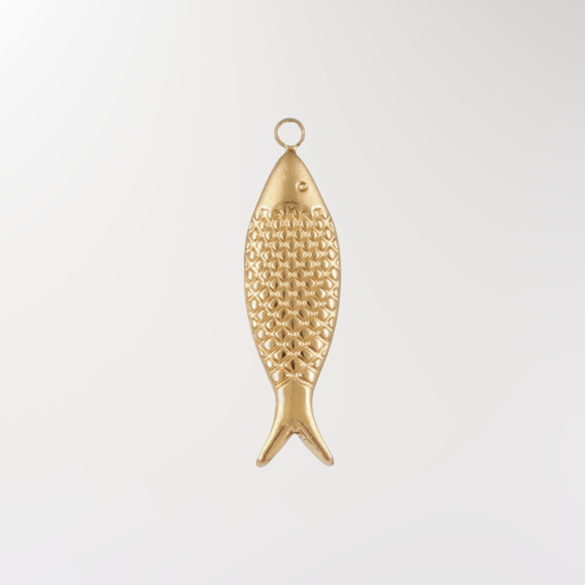 Sardine